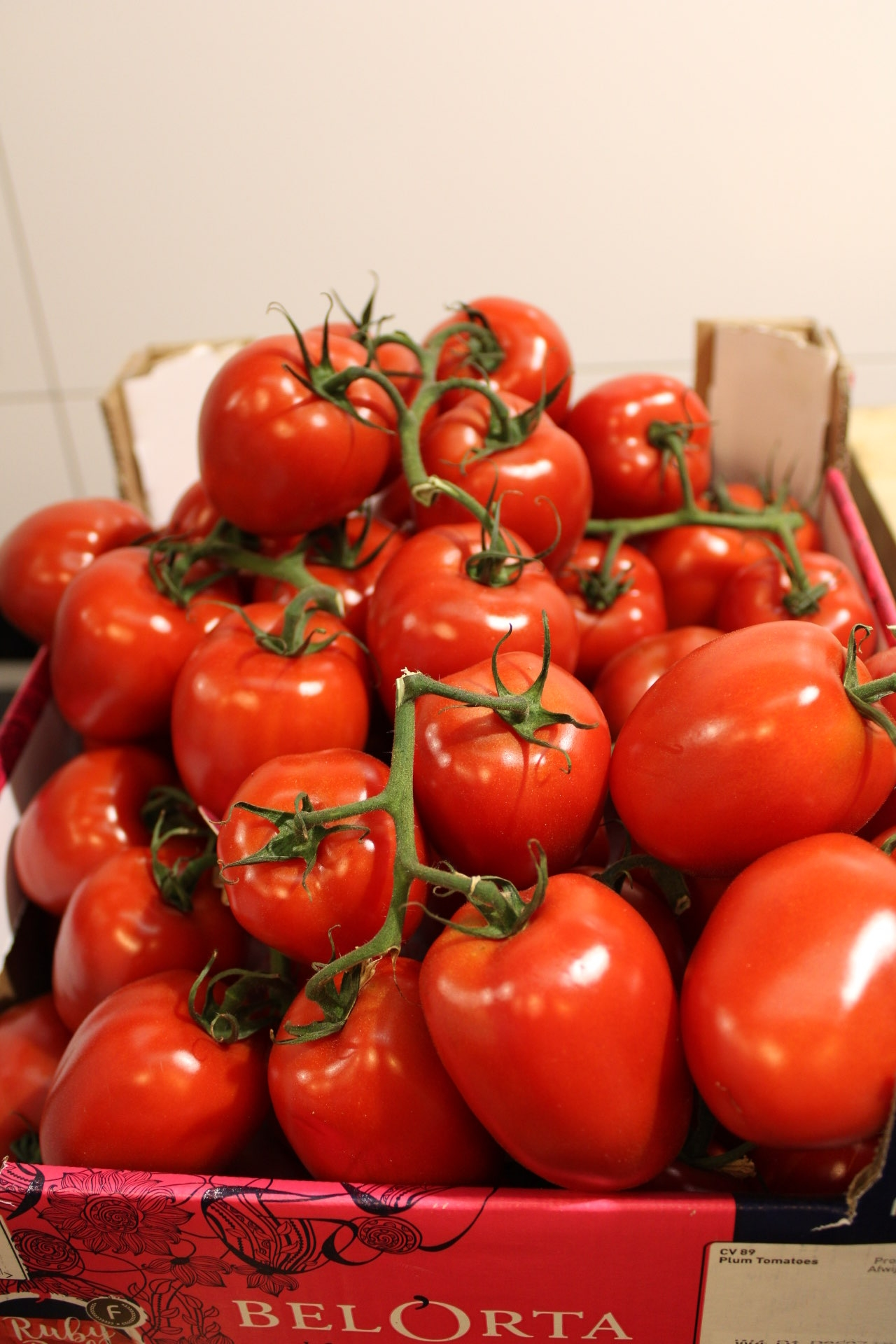 Frische Tomaten